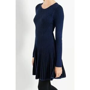 Express Navy Blue Striped Mini Dress